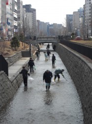 札幌弱電設備業協同組合の創成川グリーンベルト清掃ボランティア